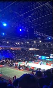 《棒球与收藏：那些沾满泥土的比赛球为何价值连城？》